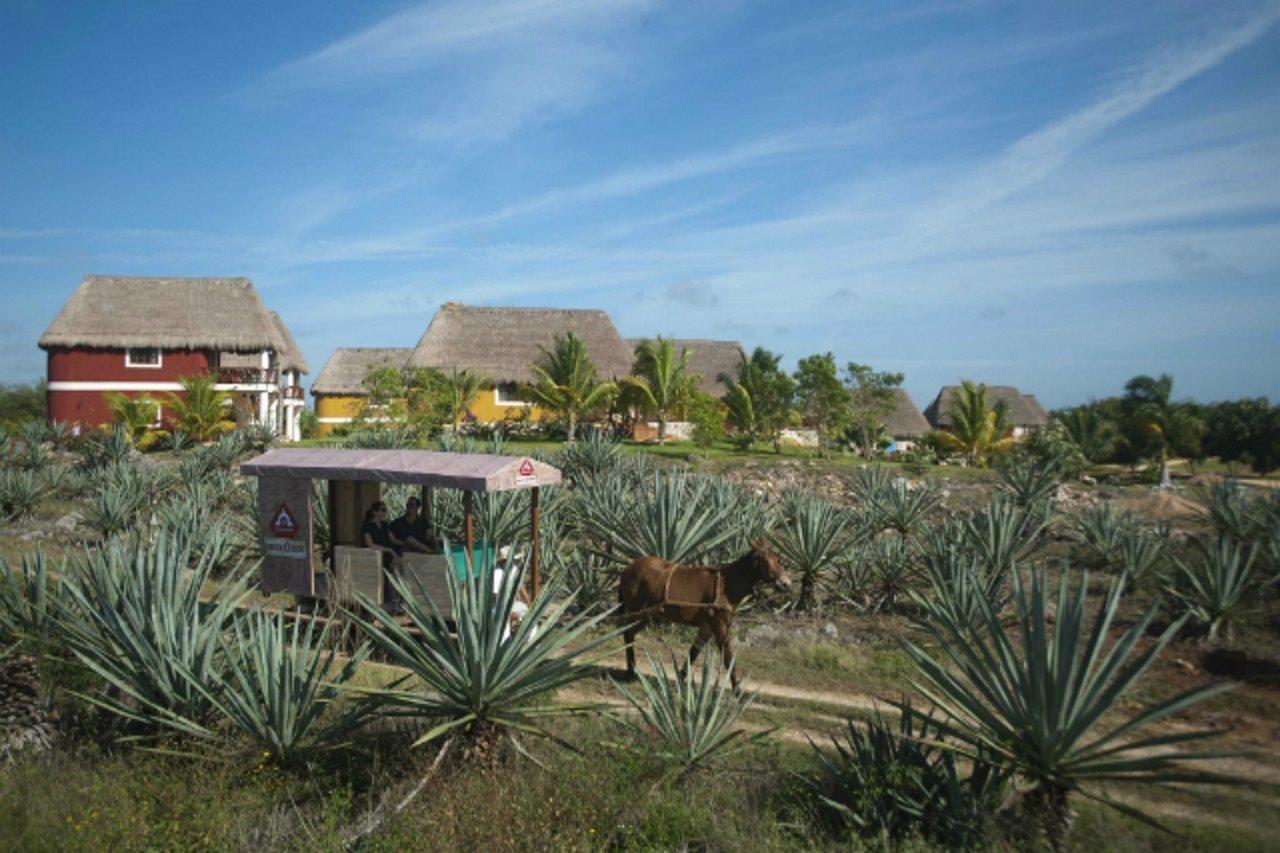 Hotel Hacienda Viva Sotuta De Peon Tecoh Esterno foto