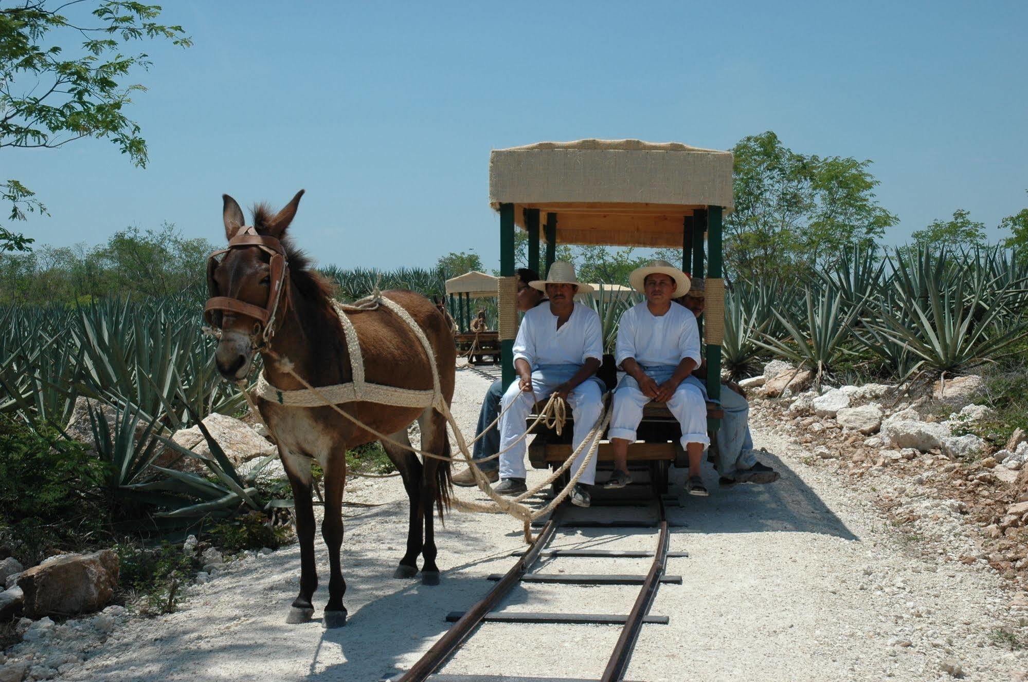 Hotel Hacienda Viva Sotuta De Peon Tecoh Esterno foto